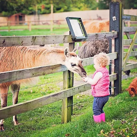 أثلون سبرينغز فندق آثلون