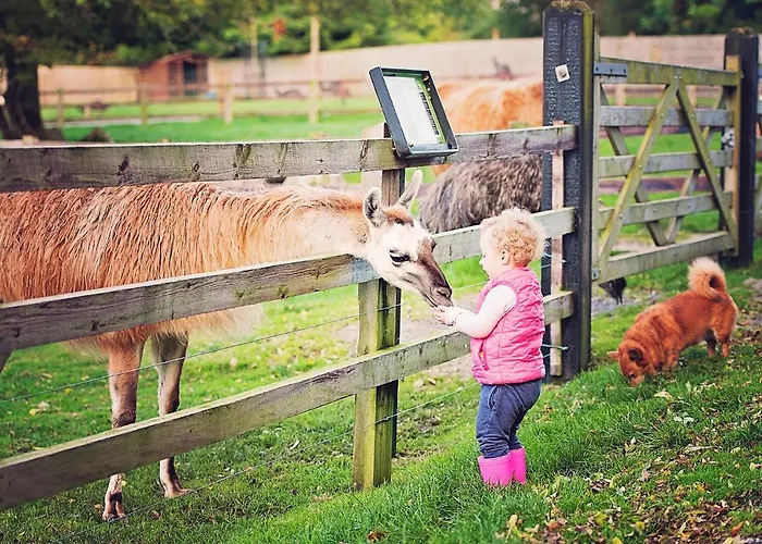 Springs Hotel Athlone